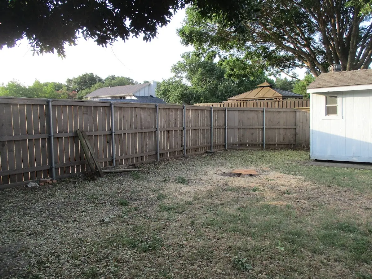 Cleared yard after professional tree removal in West Sayville