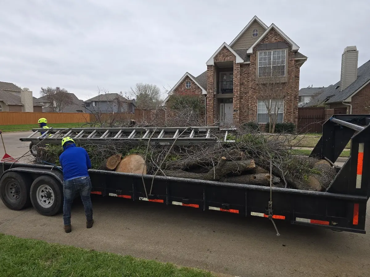Expert Tree Fertilization with proper safety equipment in West Sayville
